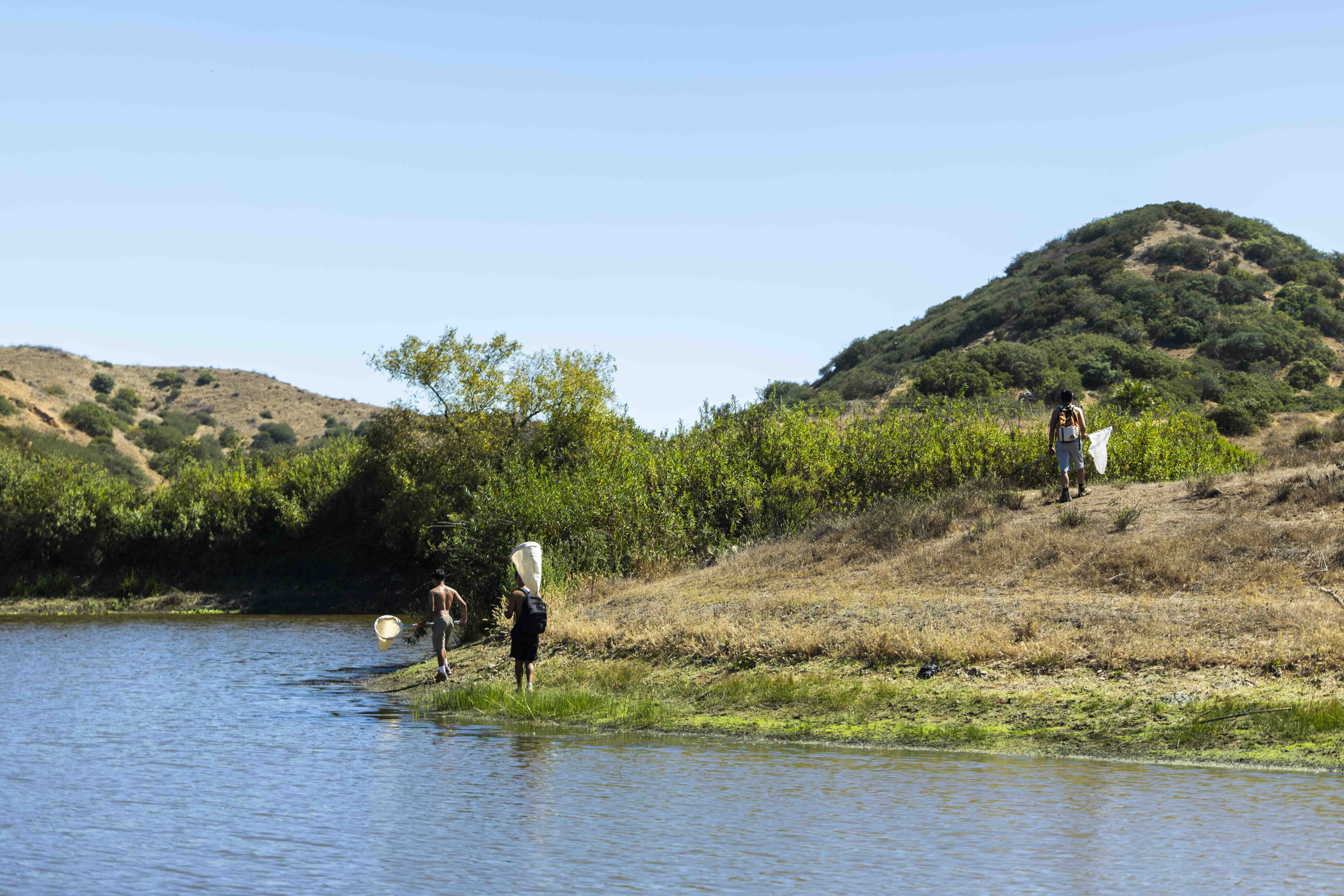 Three people carrying insect nets walk along the edge of a pond surrounded by hills